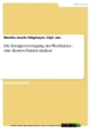 Die Energieversorgung des Westharzes - eine Kosten-Nutzen-Analyse