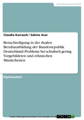 Benachteiligung in der dualen Berufsausbildung der Bundesrepublik Deutschland: Probleme bei schulisch gering Vorgebildeten und ethnischen Minderheiten