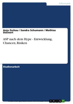 ASP nach dem Hype - Entwicklung, Chancen, Risiken