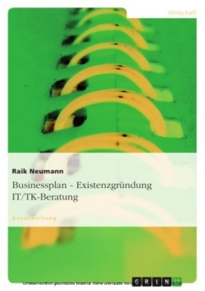 Businessplan - Existenzgründung IT/TK-Beratung