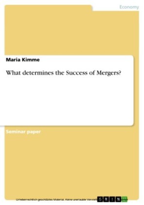 What determines the Success of Mergers?