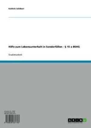 Hilfe zum Lebensunterhalt in Sonderfällen - 15 a BSHG