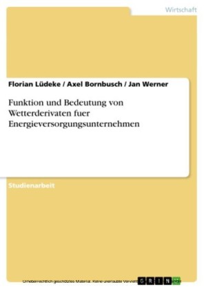 Funktion und Bedeutung von Wetterderivaten fuer Energieversorgungsunternehmen