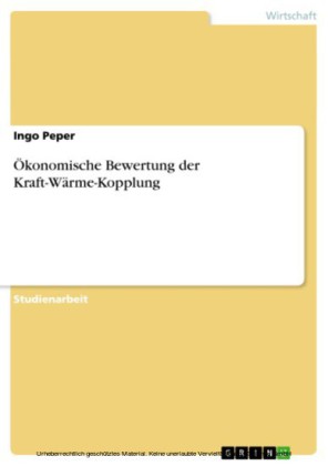 Ökonomische Bewertung der Kraft-Wärme-Kopplung