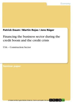 Financing the business sector during the credit boom and the credit crisis