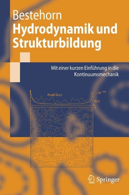 Hydrodynamik und Strukturbildung main product photo