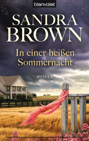 In einer heißen Sommernacht main product photo