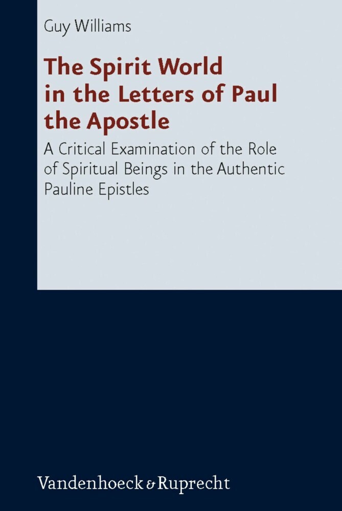 The Spirit World in the Letters of Paul the Apostle main product photo
