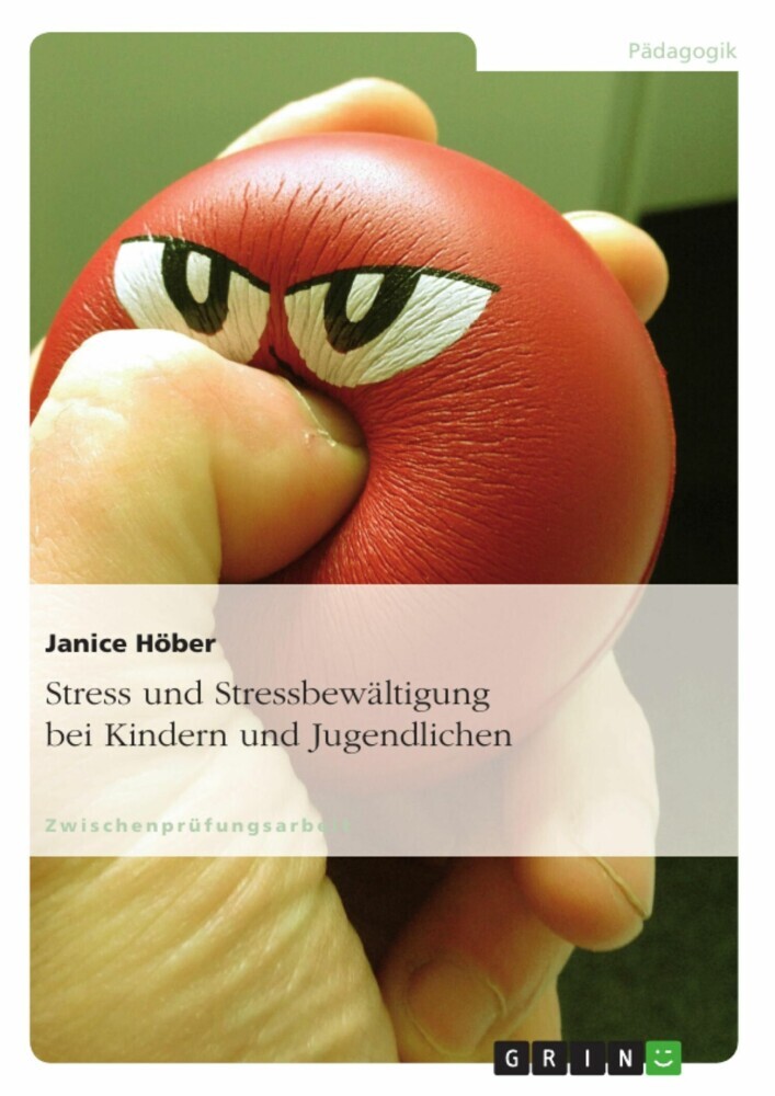 Stress und Stressbewältigung bei Kindern und Jugendlichen main product photo