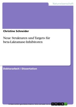 Neue Strukturen und Targets für beta-Laktamase-Inhibitoren
