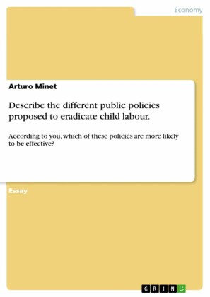 Describe the different public policies proposed to eradicate child labour.