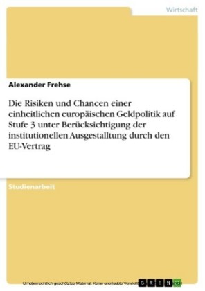 Die Risiken und Chancen einer einheitlichen europäischen Geldpolitik auf Stufe 3 unter Berücksichtigung der institutionellen Ausgestalltung durch den EU-Vertrag
