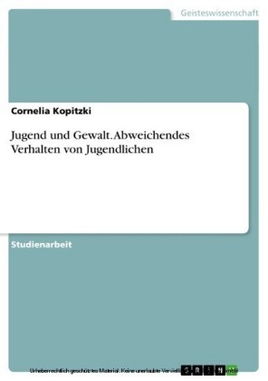 Jugend und Gewalt. Abweichendes Verhalten von Jugendlichen