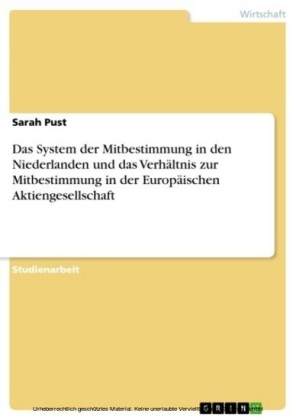 Das System der Mitbestimmung in den Niederlanden und das Verhältnis zur Mitbestimmung in der Europäischen Aktiengesellschaft