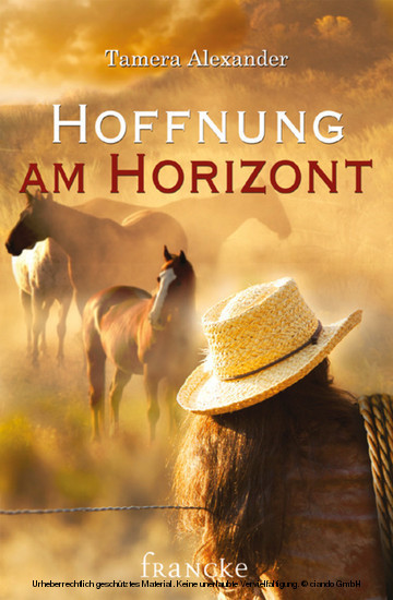 Hoffnung am Horizont main product photo