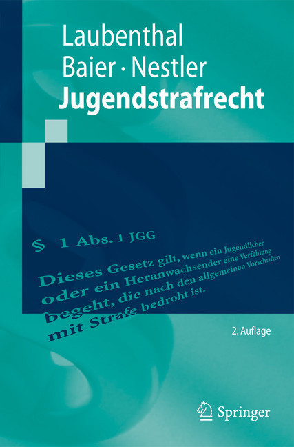 Jugendstrafrecht main product photo