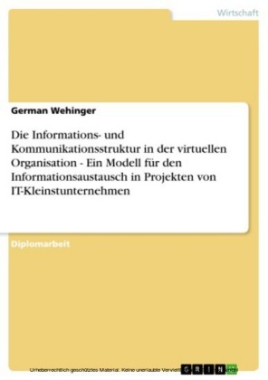 Die Informations- und Kommunikationsstruktur in der virtuellen Organisation - Ein Modell für den Informationsaustausch in Projekten von IT-Kleinstunternehmen