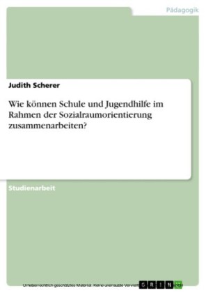 Wie können Schule und Jugendhilfe im Rahmen der Sozialraumorientierung zusammenarbeiten?