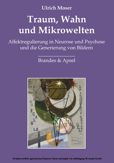 Traum, Wahn und Mikrowelten main product photo