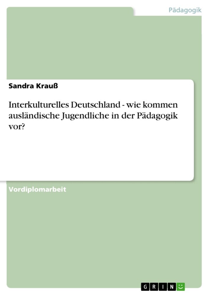 Interkulturelles Deutschland - wie kommen ausländische Jugendliche in der Pädagogik vor? main product photo
