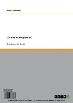 Das Bild als Möglichkeit