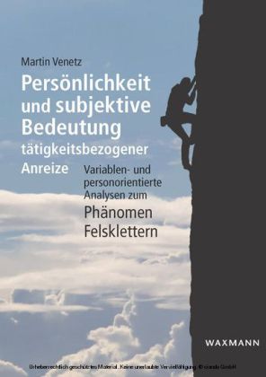 Persönlichkeit und subjektive Bedeutung tätigkeitsbezogener Anreize