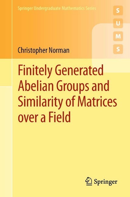 Finitely Generated Abelian Groups and Similarity of Matrices over a Field main product photo
