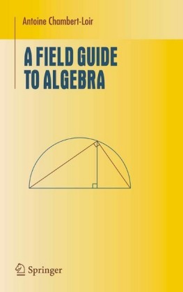 A Field Guide to Algebra