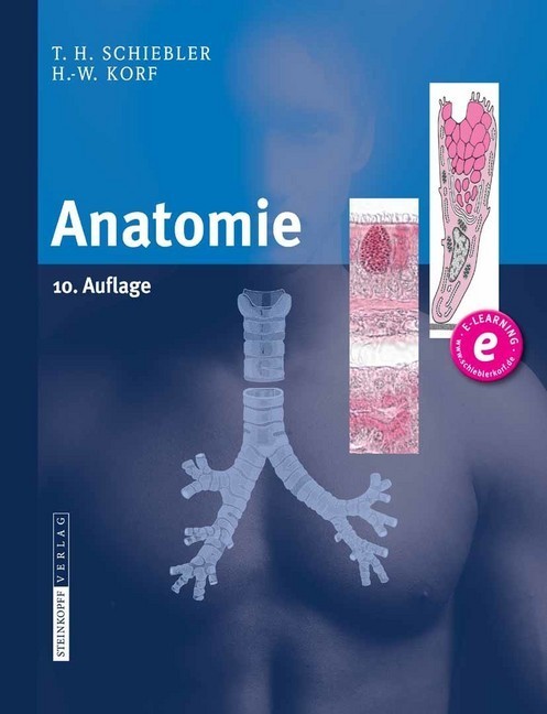 Anatomie main product photo