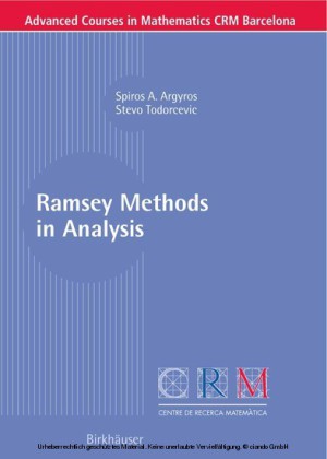Ramsey Methods in Analysis