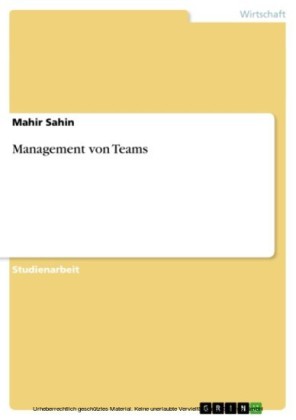 Management von Teams