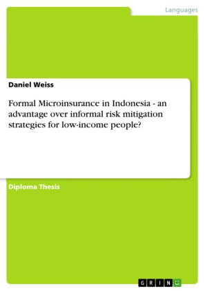 Formal Microinsurance in Indonesia - an advantage over informal risk mitigation strategies for low-income people?