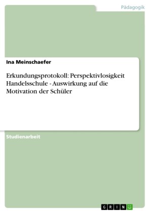 Erkundungsprotokoll: Perspektivlosigkeit Handelsschule - Auswirkung auf die Motivation der Schüler