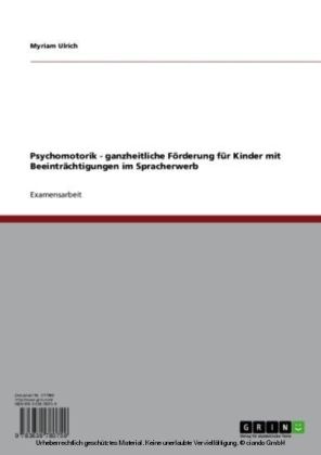 Psychomotorik