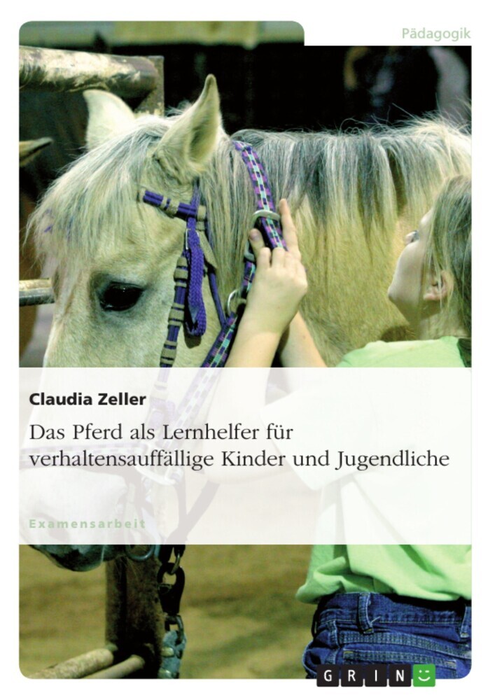 Das Pferd als Lernhelfer für verhaltensauffällige Kinder und Jugendliche main product photo