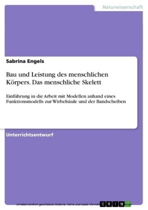 Bau und Leistung des menschlichen Körpers. Das menschliche Skelett