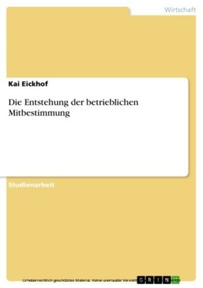Die Entstehung der betrieblichen Mitbestimmung