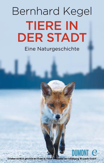 Tiere in der Stadt main product photo