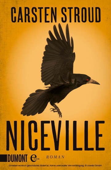 Niceville main product photo