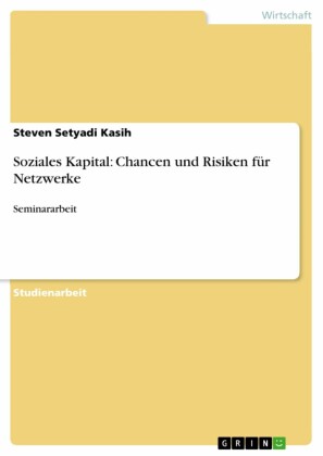 Soziales Kapital: Chancen und Risiken für Netzwerke