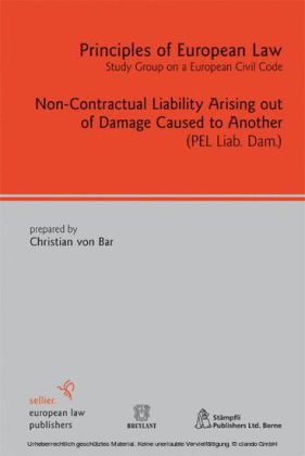 Non-Contractual Liability Arising out of Damage Caused to Another