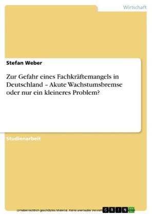 Zur Gefahr eines Fachkräftemangels in Deutschland -  Akute Wachstumsbremse oder nur ein kleineres Problem?