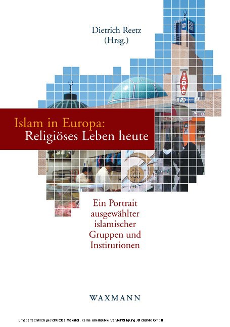 Islam in Europa: Religiöses Leben heute. Ein Portrait ausgewählter islamischer Gruppen und Institutionen main product photo