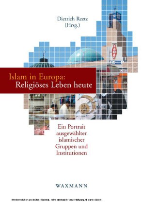 Islam in Europa: Religiöses Leben heute. Ein Portrait ausgewählter islamischer Gruppen und Institutionen