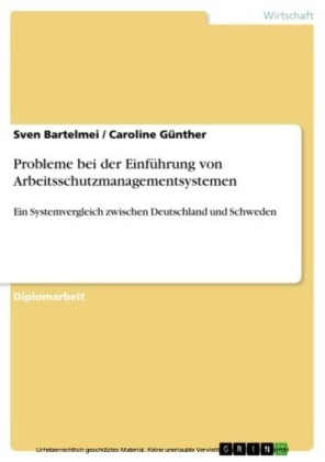Probleme bei der Einführung von Arbeitsschutzmanagementsystemen