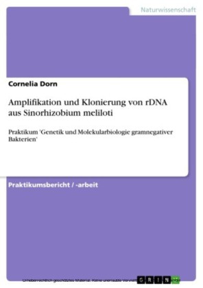 Amplifikation und Klonierung von rDNA aus Sinorhizobium meliloti