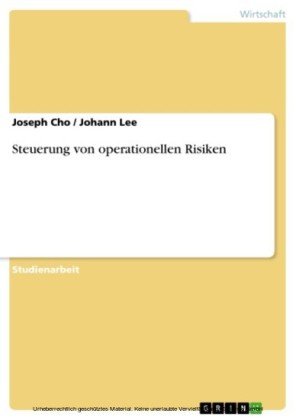 Steuerung von operationellen Risiken