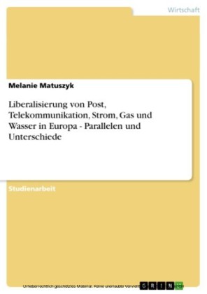 Liberalisierung von Post, Telekommunikation, Strom, Gas und Wasser in Europa - Parallelen und Unterschiede