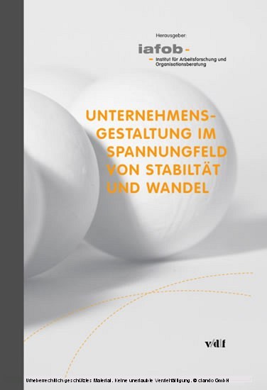 Unternehmensgestaltung im Spannungsfeld von Stabilität und Wandel main product photo
