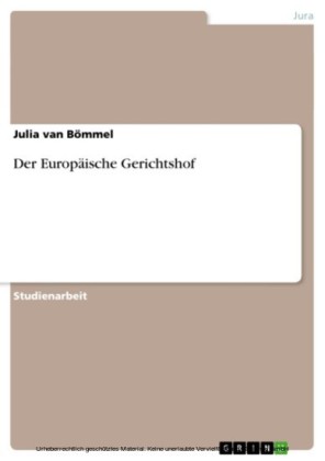Der Europäische Gerichtshof